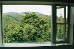 windowview01